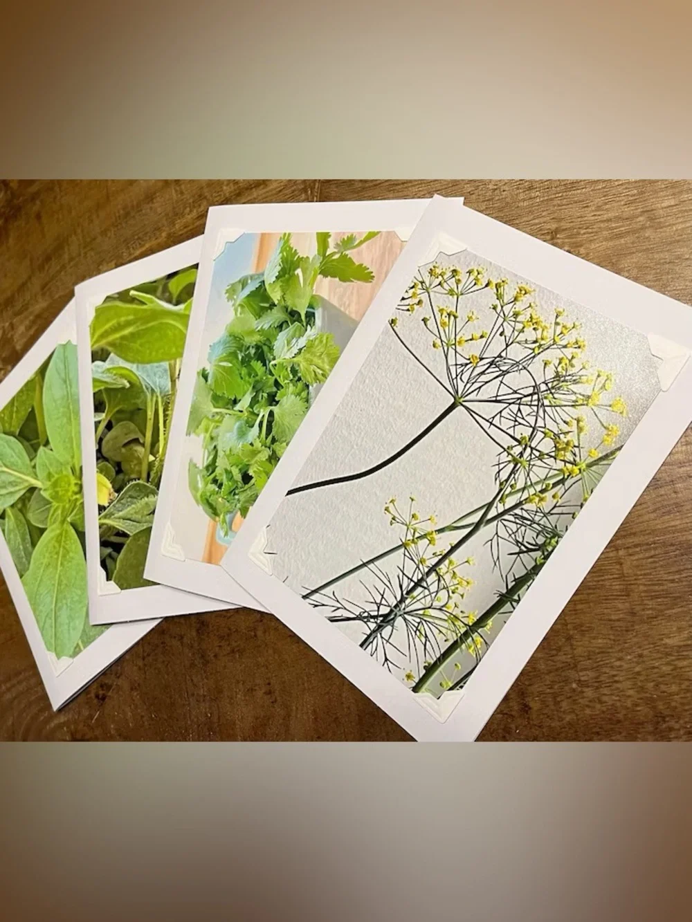 Botanical Photo Greeting Cards - Set of 4